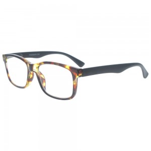 Plastic Reading Glasses