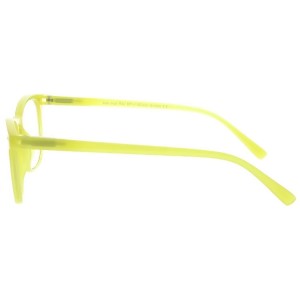 Plastic Reading Glasses