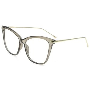 Plastic Reading Glasses