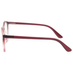 Plastic Reading Glasses