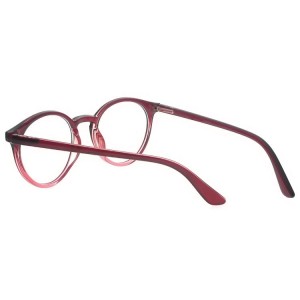 Plastic Reading Glasses