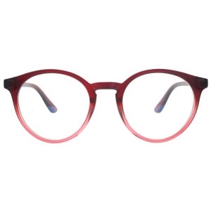 Plastic Reading Glasses