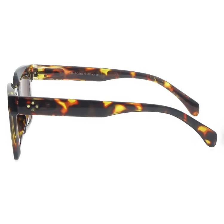 Dachuan Optical DRP127172 China Supplier Retro Design Plastic Bifocal Sun Reading Glasses with Spring Hinge (15)