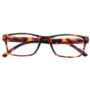 Plastic Reading Glasses