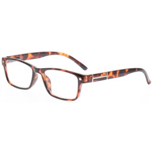 Plastic Reading Glasses