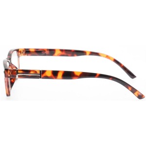 Plastic Reading Glasses