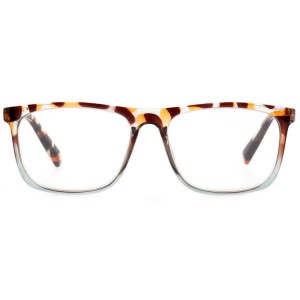 Plastic Reading Glasses