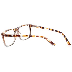 Plastic Reading Glasses