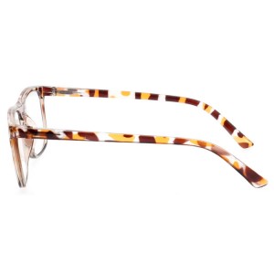 Plastic Reading Glasses