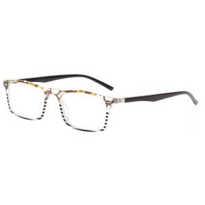 Plastic Reading Glasses