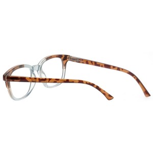 Plastic Reading Glasses