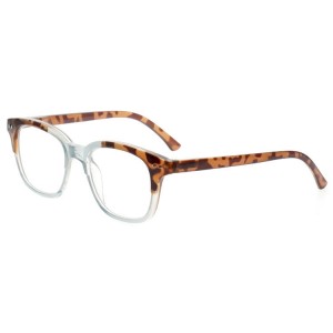 Plastic Reading Glasses