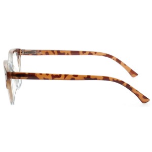 Plastic Reading Glasses