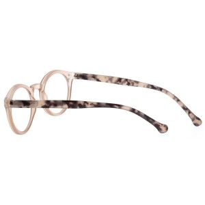 Plastic Reading Glasses