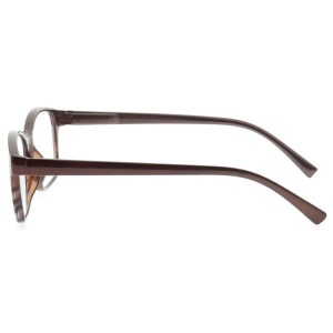 Plastic Reading Glasses