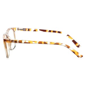 Plastic Reading Glasses