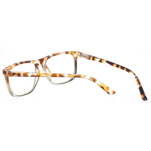 Plastic Reading Glasses