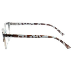 Plastic Reading Glasses