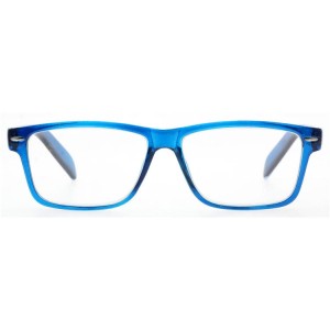 Plastic Reading Glasses