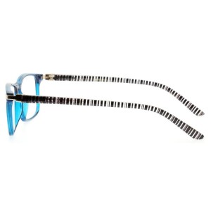 Plastic Reading Glasses