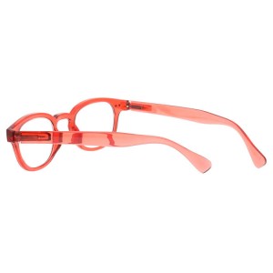 Plastic Reading Glasses