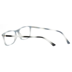 Plastic Reading Glasses