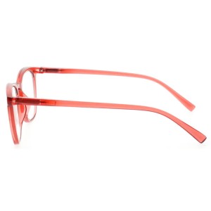 Plastic Reading Glasses