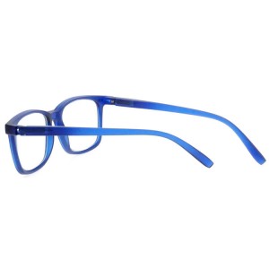 Plastic Reading Glasses