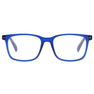 Plastic Reading Glasses