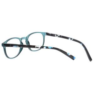 Plastic Reading Glasses