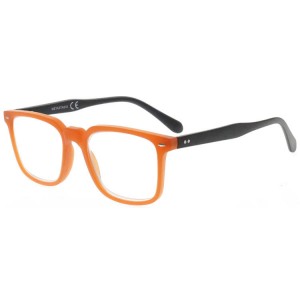 Plastic Reading Glasses