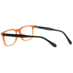 Plastic Reading Glasses