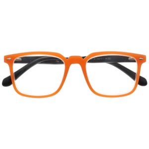 Plastic Reading Glasses