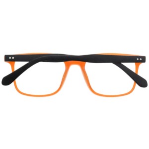 Plastic Reading Glasses