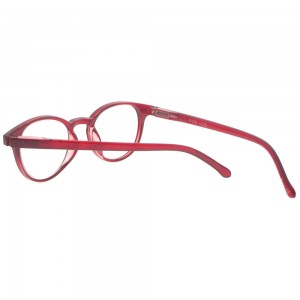 Plastic Reading Glasses