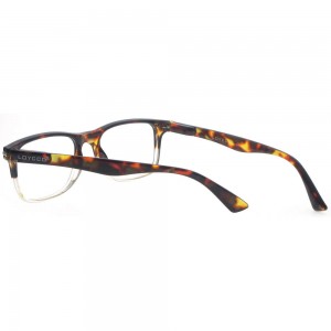 Plastic Reading Glasses