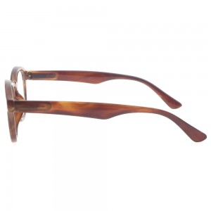 Plastic Reading Glasses