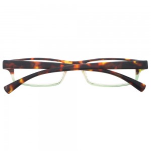 Plastic Reading Glasses