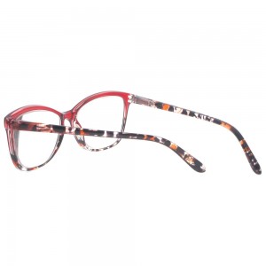 Plastic Reading Glasses