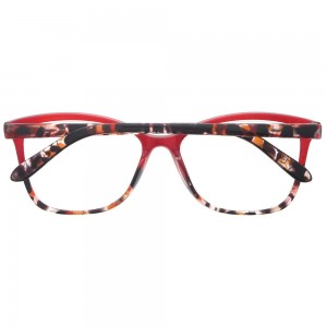 Plastic Reading Glasses