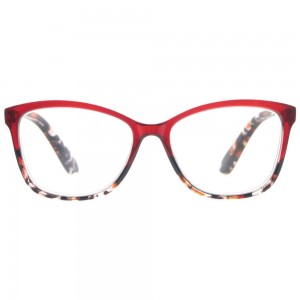 Plastic Reading Glasses