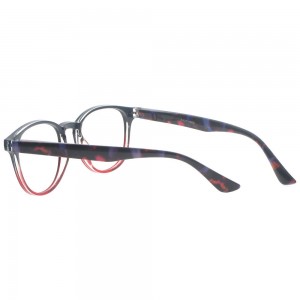 Plastic Reading Glasses