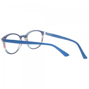 Plastic Reading Glasses