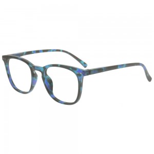 Plastic Reading Glasses