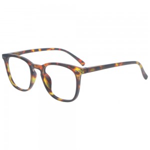 Plastic Reading Glasses