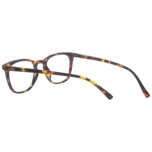 Plastic Reading Glasses