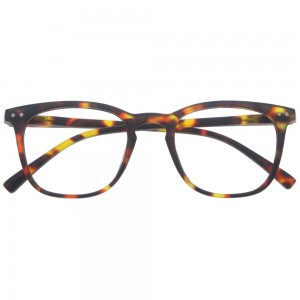 Plastic Reading Glasses