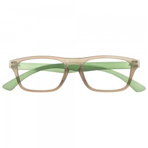 Plastic Reading Glasses