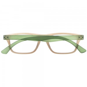 Plastic Reading Glasses