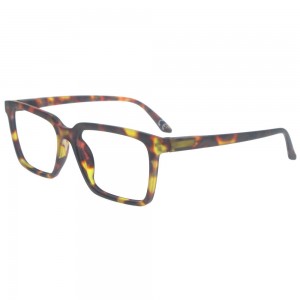 Plastic Reading Glasses